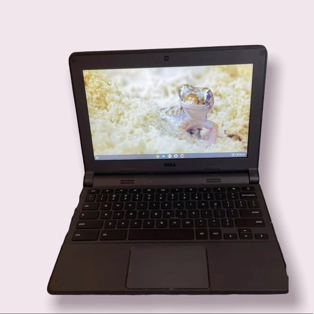 Dell chrome book 11 3120